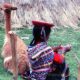 Bolivia
